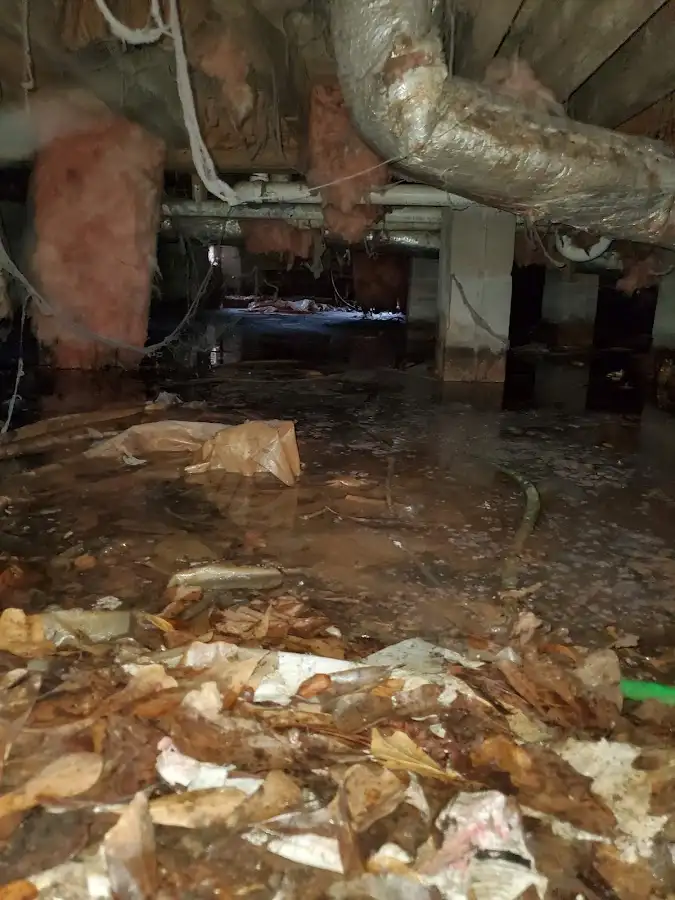 Crawl space flood assessment for Leak Detection & Repair in Middle