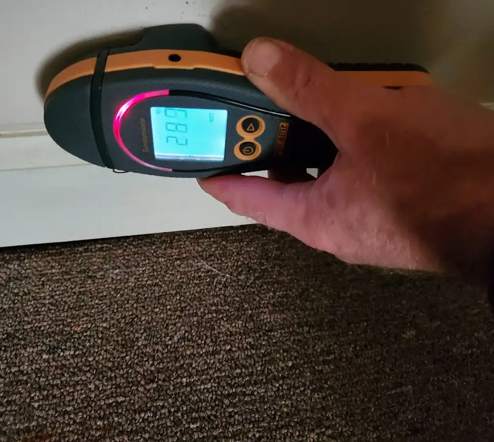 Moisture detection at baseboard during Mold Inspection & Testing in Middle